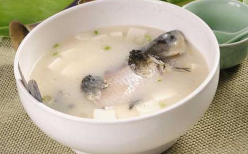 鯽魚(yú)頭豆腐湯