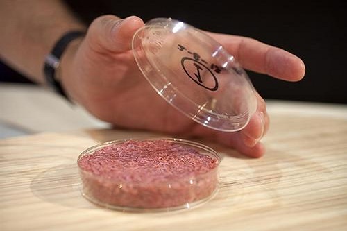 “人造肉”熱潮，未來將替代60%肉制品？